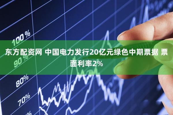 东方配资网 中国电力发行20亿元绿色中期票据 票面利率2%