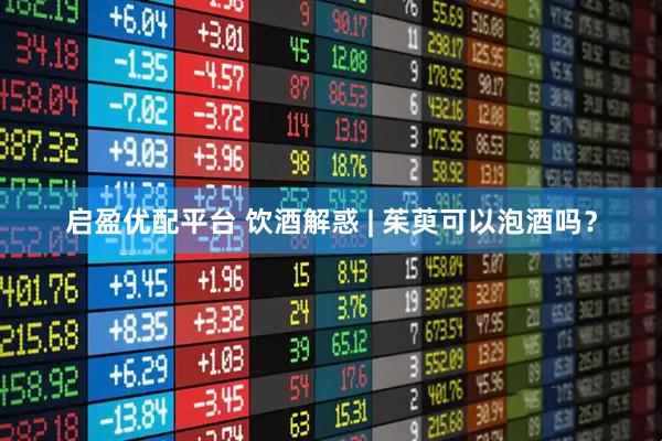 启盈优配平台 饮酒解惑 | 茱萸可以泡酒吗？