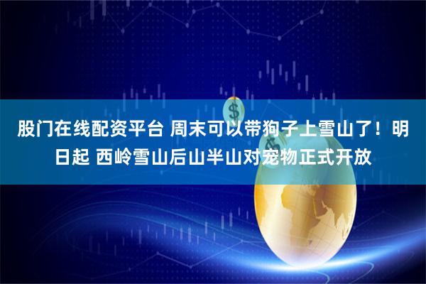 股门在线配资平台 周末可以带狗子上雪山了！明日起 西岭雪山后山半山对宠物正式开放